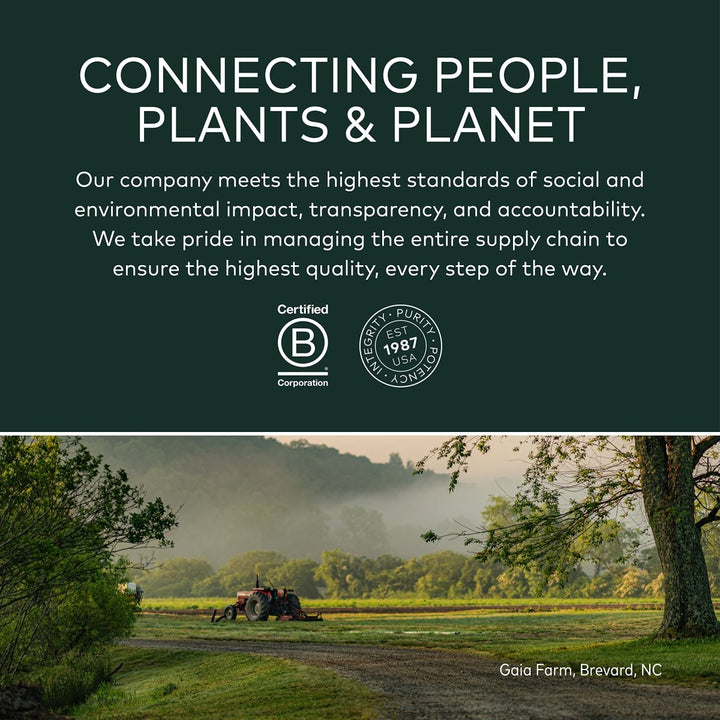 Gaia Herbs Organic Sleep Gummies, Sleep Support, Ashwagandha, Organic Reishi Mushroom, Passionflower, USDA Certified Organic, Non - GMO, Gluten Free, Vegan, 40 Count - The Oasis of Health