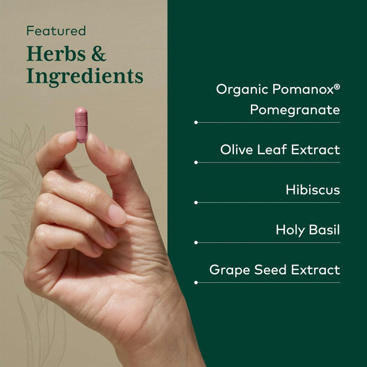 Gaia Herbs Pro Systolic Complex - 60 Caps - The Oasis of Health