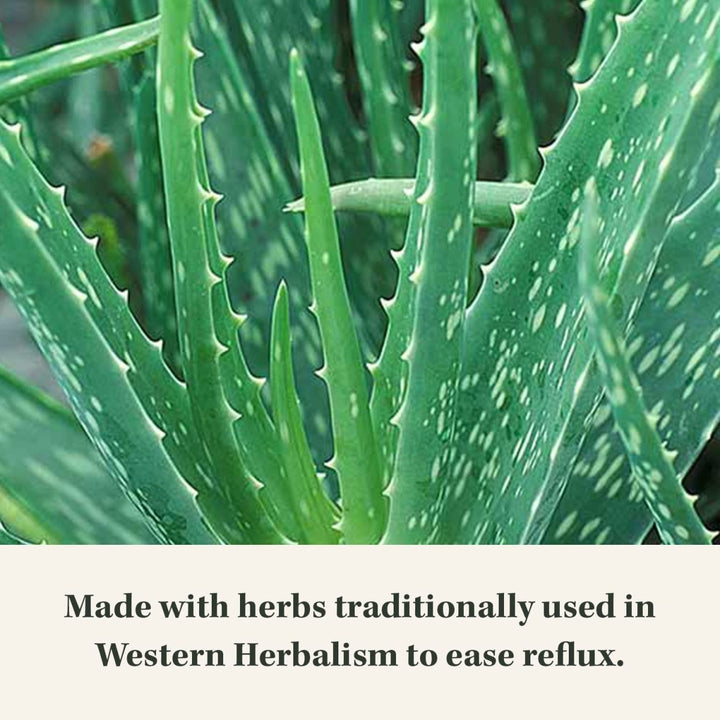 Gaia Herbs Reflux Relief - 45 Chewable Tablets (45 - Day Supply) - The Oasis of Health