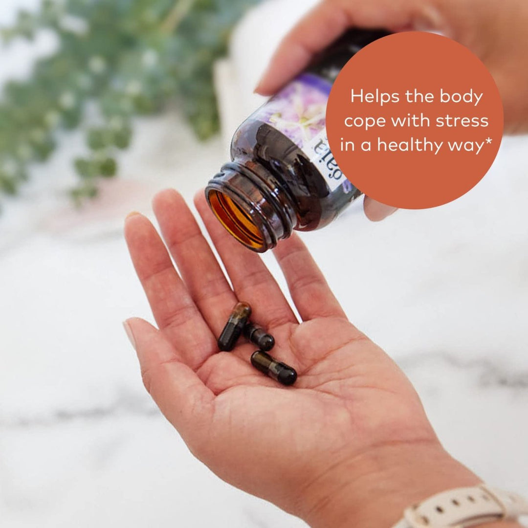 Gaia Herbs Rhodiola Rosea - 120 Vegan Liquid Phyto - Capsules (60 - Day Supply) - The Oasis of Health