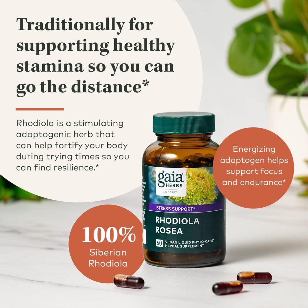 Gaia Herbs Rhodiola Rosea - Stress Support Supplement Traditionally for Supporting Healthy Stamina and Endurance - with Siberian Rhodiola Root Extract - 60 Vegan Liquid Phyto - Capsules (30 - Day Supply) - The Oasis of Health
