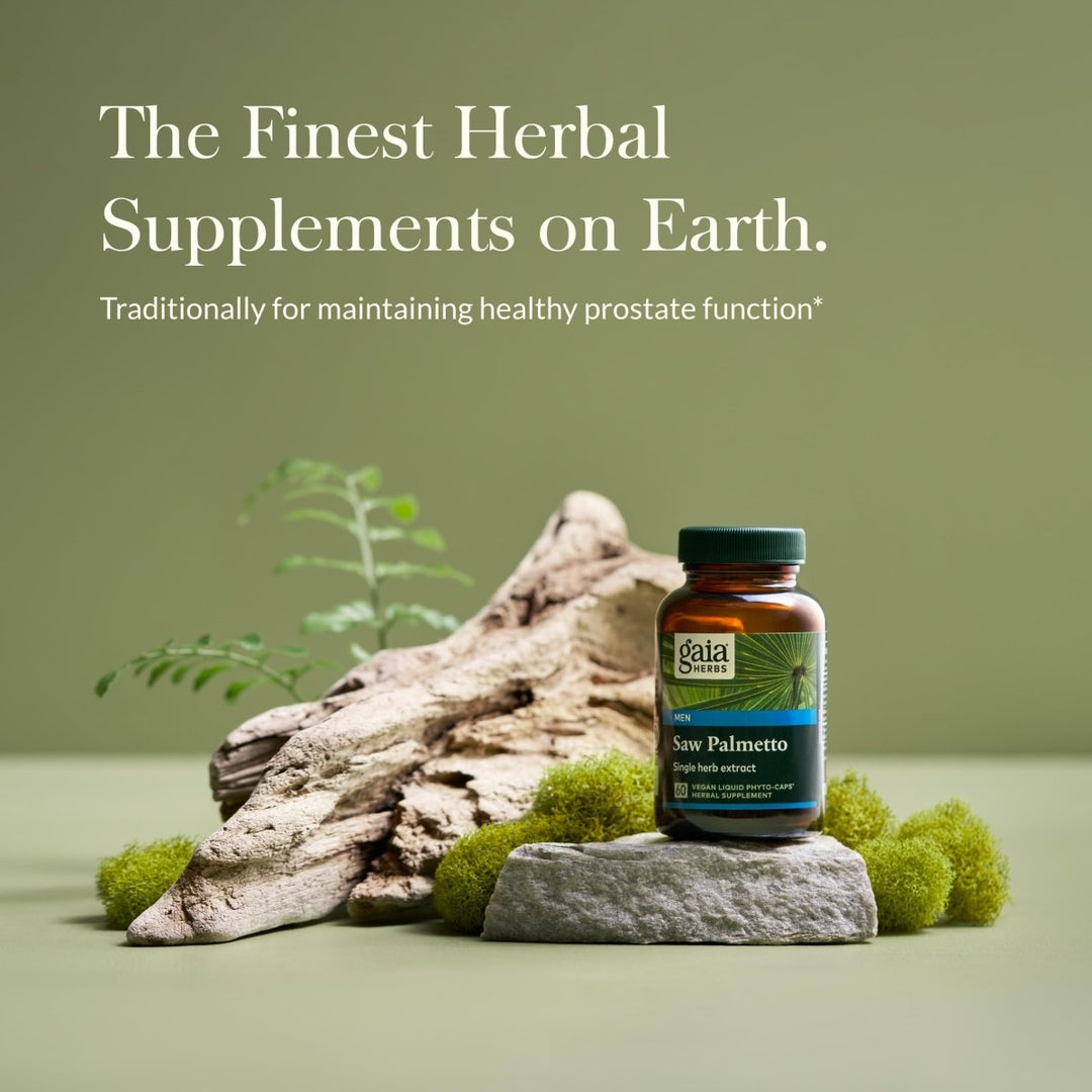 Gaia Herbs Saw Palmetto - Supports Healthy Prostate Function for Men - Contains Saw Palmetto and Sunflower Seed Lecithin to Support Men’s Health - 60 Vegan Liquid Phyto - Capsules (30 - Day Supply) - The Oasis of Health