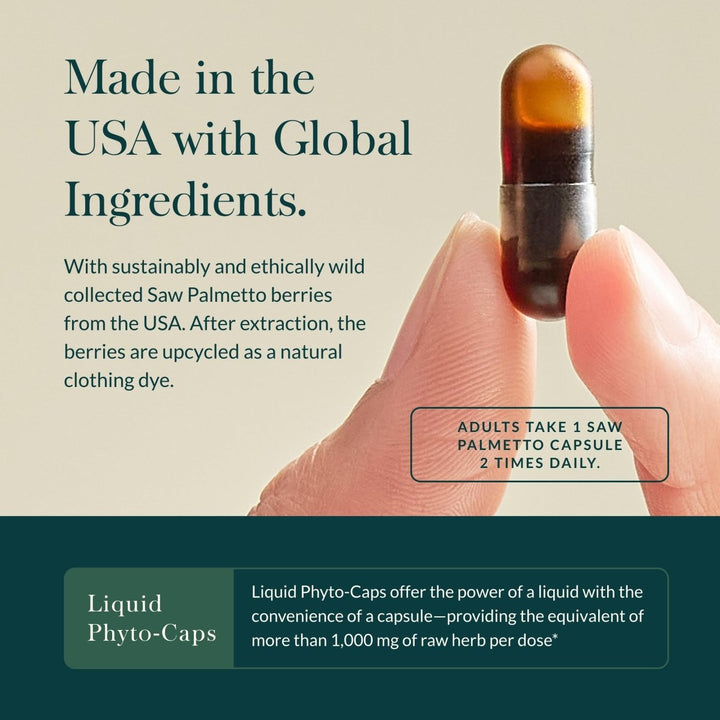 Gaia Herbs Saw Palmetto - Supports Healthy Prostate Function for Men - Contains Saw Palmetto and Sunflower Seed Lecithin to Support Men’s Health - 60 Vegan Liquid Phyto - Capsules (30 - Day Supply) - The Oasis of Health