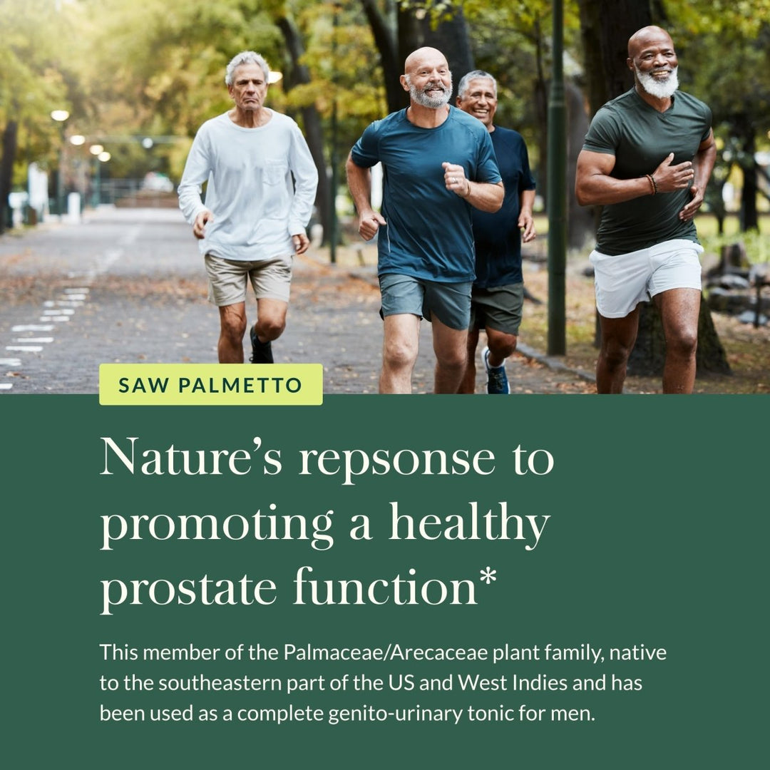 Gaia Herbs Saw Palmetto - Supports Healthy Prostate Function for Men - Contains Saw Palmetto and Sunflower Seed Lecithin to Support Men’s Health - 60 Vegan Liquid Phyto - Capsules (30 - Day Supply) - The Oasis of Health