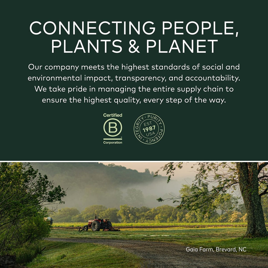 Gaia Herbs St. John's Wort - Natural Stress Support Supplement to Help Maintain Positive Health* - with St. John's Wort - 60 Vegan Liquid Phyto - Capsules (20 - Day Supply) - The Oasis of Health