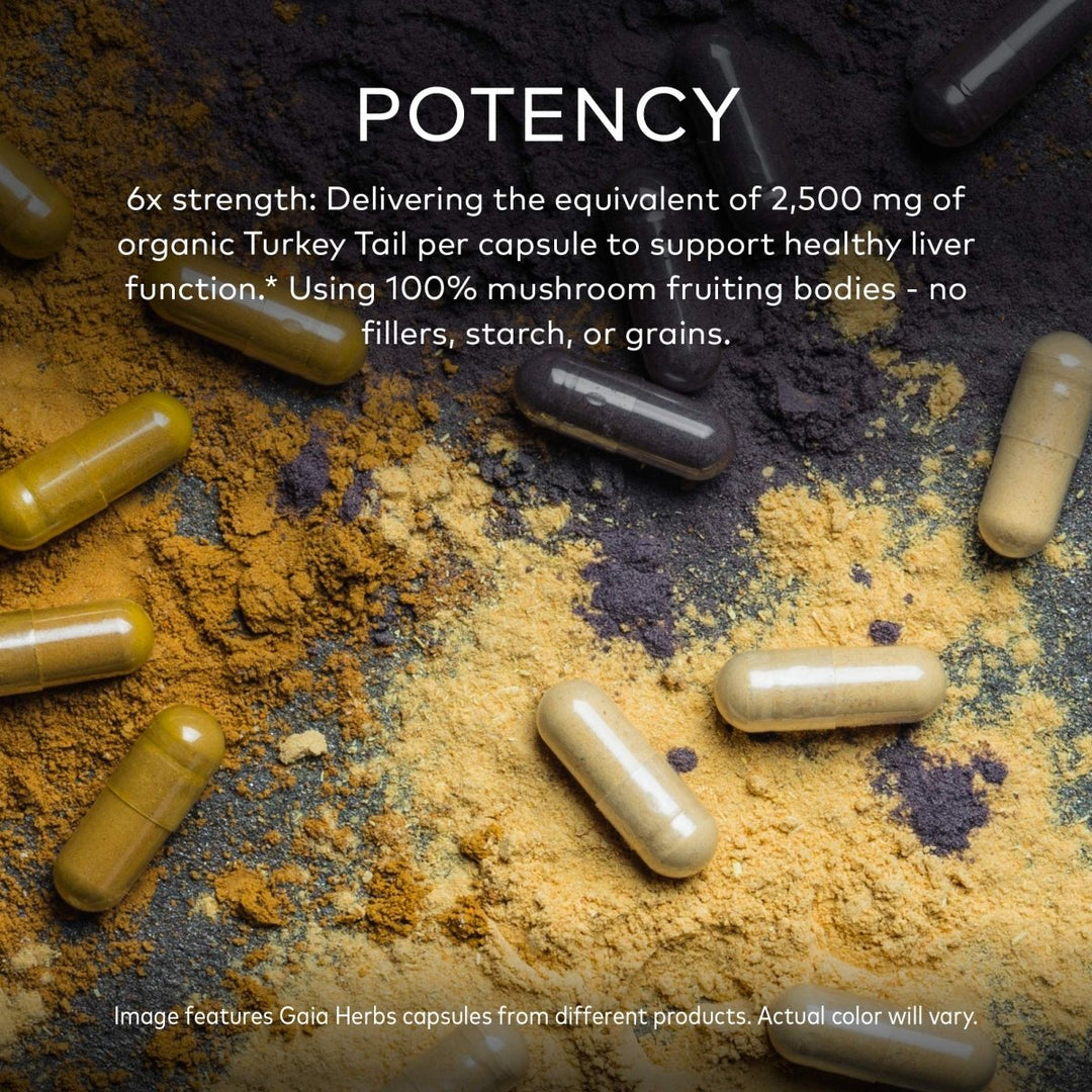 Gaia Herbs Turkey Tail Mushroom - Immune Support Supplement to Help Maintain Liver Health - with Organic Turkey Tail Mushroom Fruiting Body Extract - 40 Vegan Capsules - The Oasis of Health