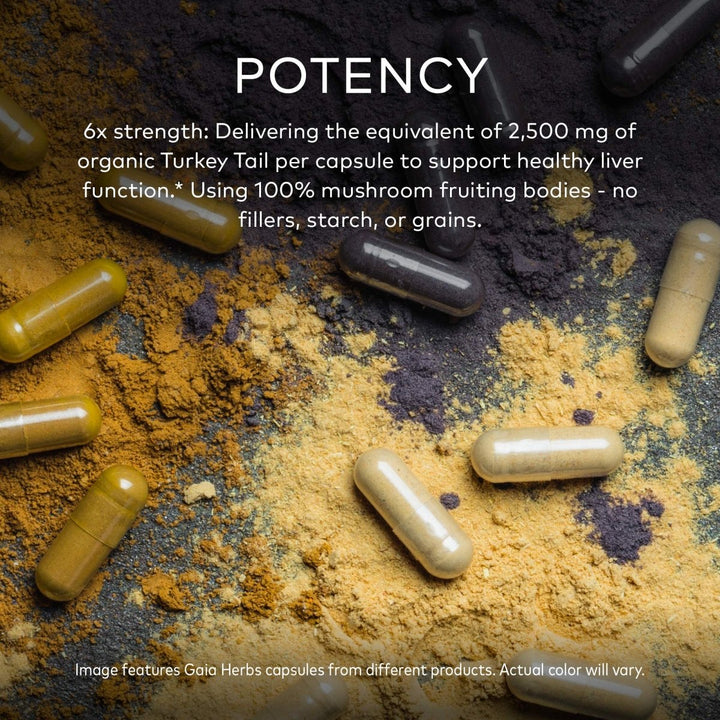 Gaia Herbs Turkey Tail Mushroom - Immune Support Supplement to Help Maintain Liver Health - with Organic Turkey Tail Mushroom Fruiting Body Extract - 40 Vegan Capsules - The Oasis of Health