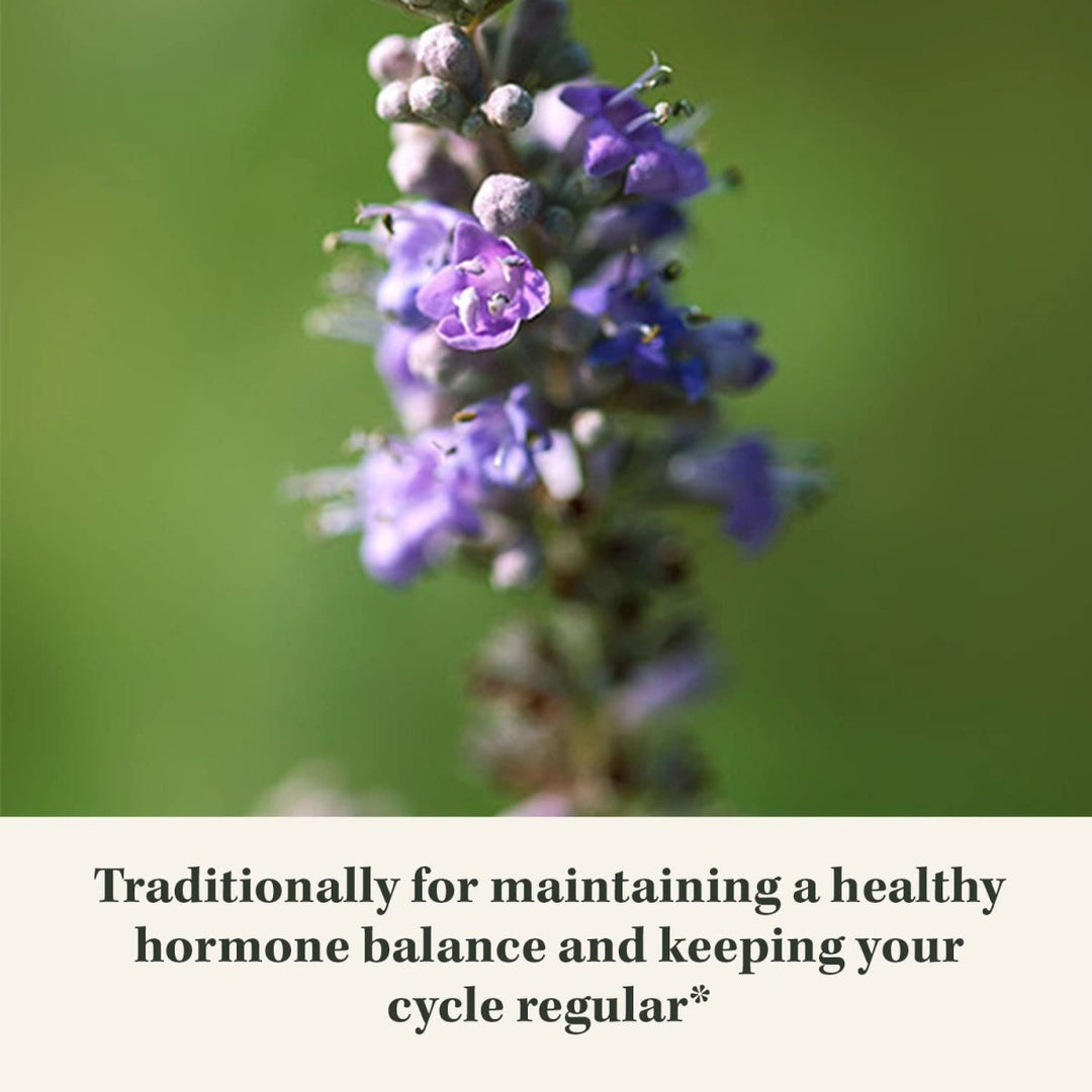 Gaia Herbs Vitex Berry (Chaste Tree) - 60 Vegan Caps (30 - Day Supply) - The Oasis of Health