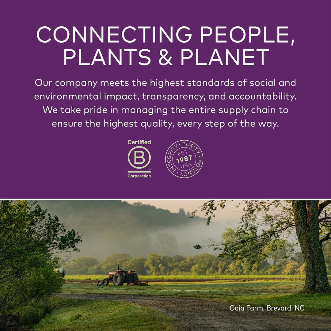 Gaia Kids Bronchial Wellness Syrup - Immune Support Supplement - Overall Throat & Lung Health Support - Certified Organic Formula with English Plantain, Grindelia & Honey - 3 Fl Oz (18 Servings) - The Oasis of Health