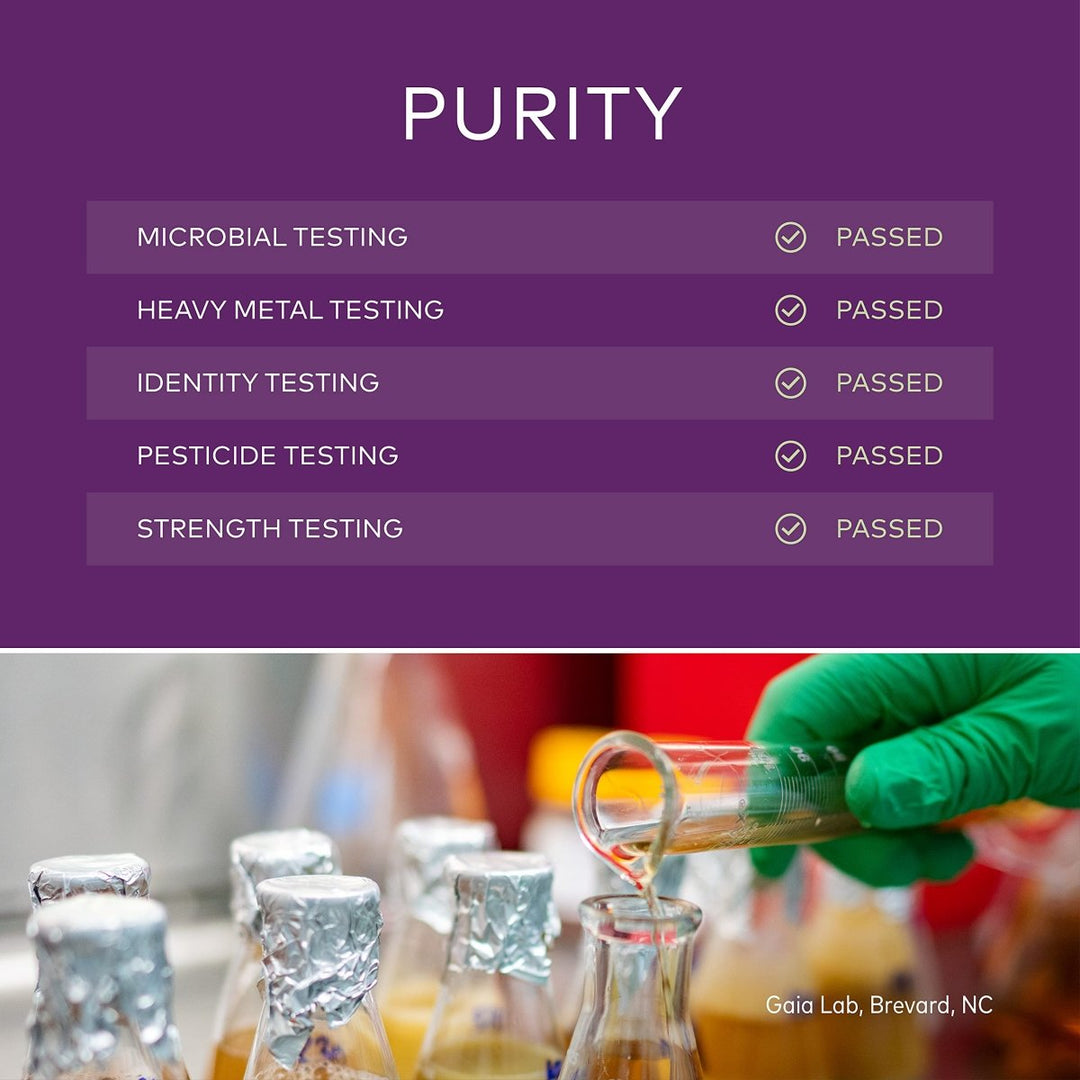 Gaia Kids Bronchial Wellness Syrup - Immune Support Supplement - Overall Throat & Lung Health Support - Certified Organic Formula with English Plantain, Grindelia & Honey - 3 Fl Oz (18 Servings) - The Oasis of Health