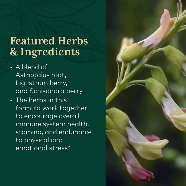 Gaia Pro 3 in 1 Immune Formula (formerly Astragalus Supreme) 2oz - The Oasis of Health