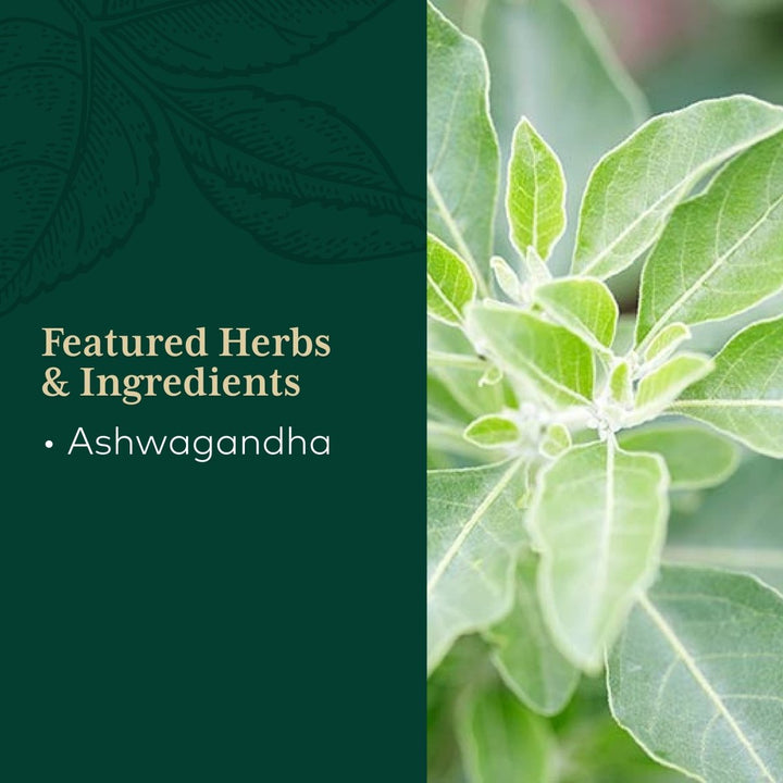 Gaia Pro Ashwagandha 700 120 Vcaps - The Oasis of Health