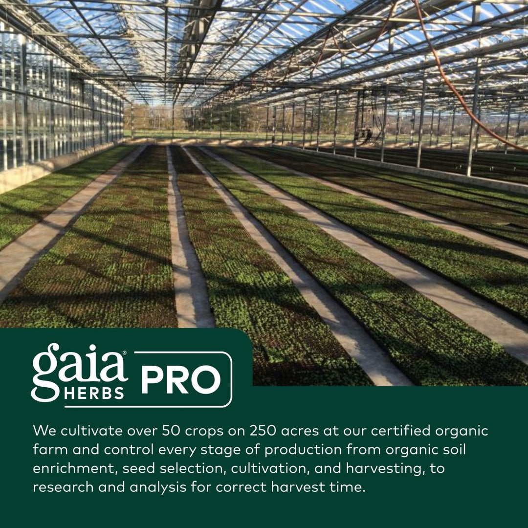 Gaia Pro Ashwagandha 700 120 Vcaps - The Oasis of Health