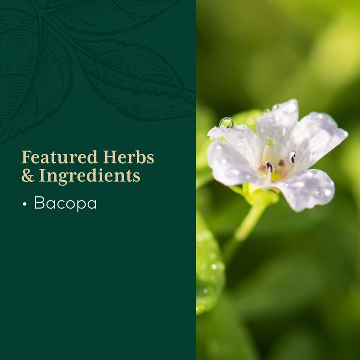 Gaia PRO Bacopa - Herbal Nootropic Working Memory Supplement for Brain Function - with Organic Bacopa - 60 Vegan Liquid Phyto - Capsules (60 Servings) - The Oasis of Health