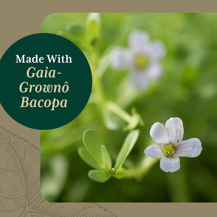 Gaia PRO Bacopa - Herbal Nootropic Working Memory Supplement for Brain Function - with Organic Bacopa - 60 Vegan Liquid Phyto - Capsules (60 Servings) - The Oasis of Health