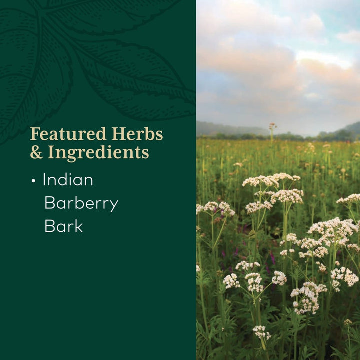 Gaia Pro Berberine Metabolic 60 Capsules - The Oasis of Health