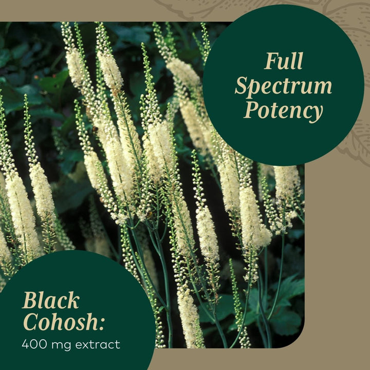 Gaia PRO Black Cohosh - Herbal Supplements for Menopause Support - Supports Hormone Balance for Women - with Organic Black Cohosh - 60 Vegan Liquid Phyto - Capsules (60 Servings) - The Oasis of Health