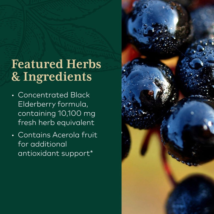 Gaia PRO Black Elderberry PRO - The Oasis of Health