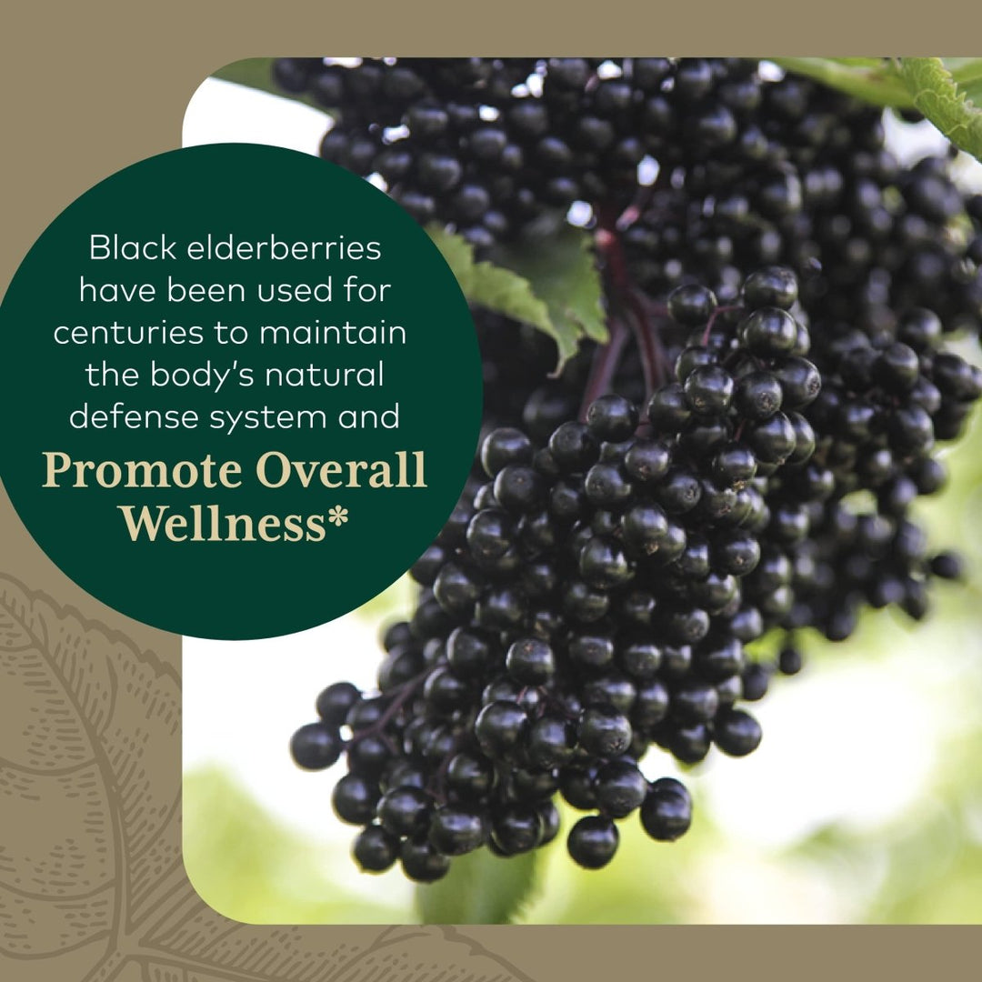 Gaia PRO Black Elderberry PRO - The Oasis of Health