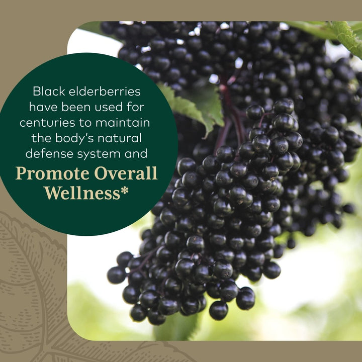 Gaia PRO Black Elderberry PRO - The Oasis of Health
