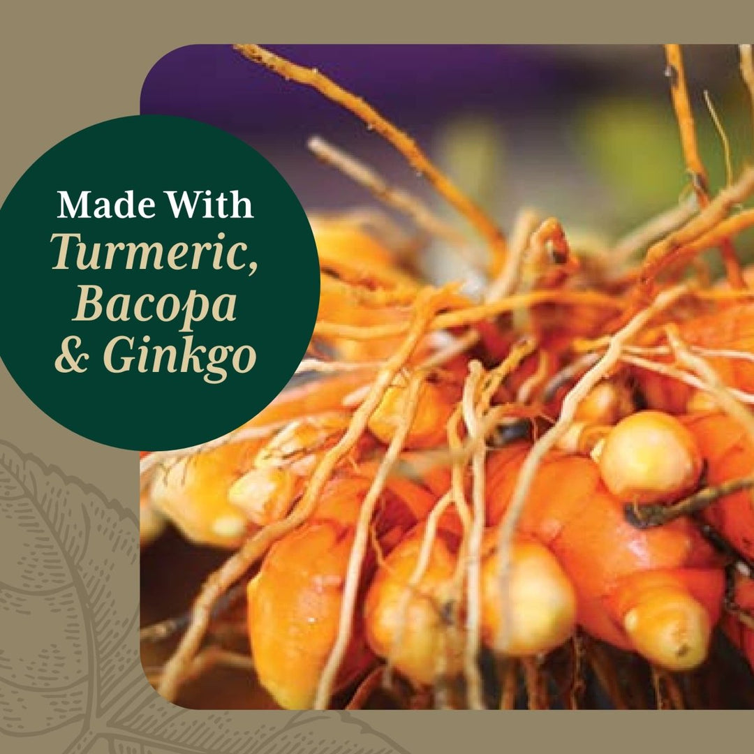 Gaia PRO Brain Daily NF - kB Formula - 60 Vegan Liquid Phyto - Capsules (60 Servings) - The Oasis of Health