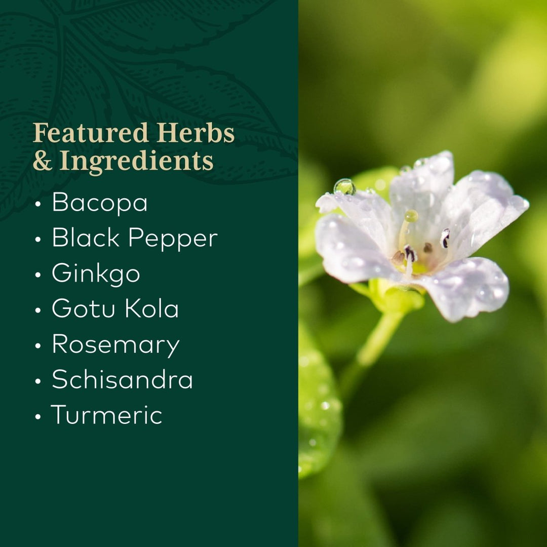 Gaia PRO Brain Daily NF - kB Formula - 60 Vegan Liquid Phyto - Capsules (60 Servings) - The Oasis of Health