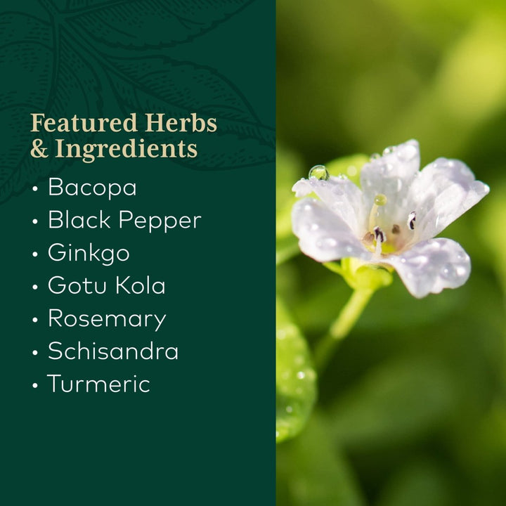 Gaia PRO Brain Daily NF - kB Formula - 60 Vegan Liquid Phyto - Capsules (60 Servings) - The Oasis of Health