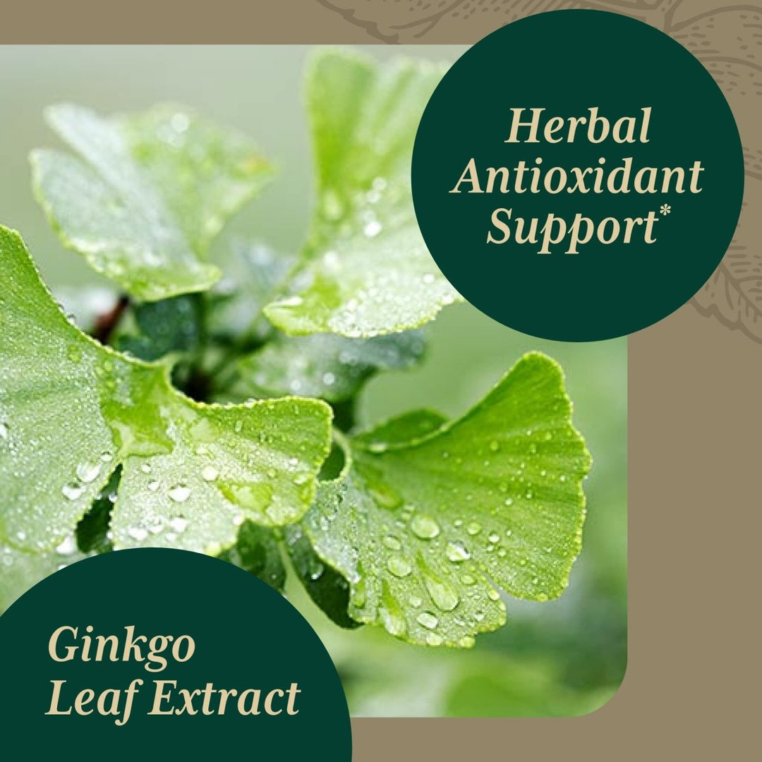 Gaia PRO Cognitive Formula - Brain Boost & Blood Flow Supplement - Provides Antioxidant Activity Support - with Rosemary, Organic Peppermint & Gotu Kola - 60 Vegan Liquid Phyto - Capsules (30 Servings) - The Oasis of Health