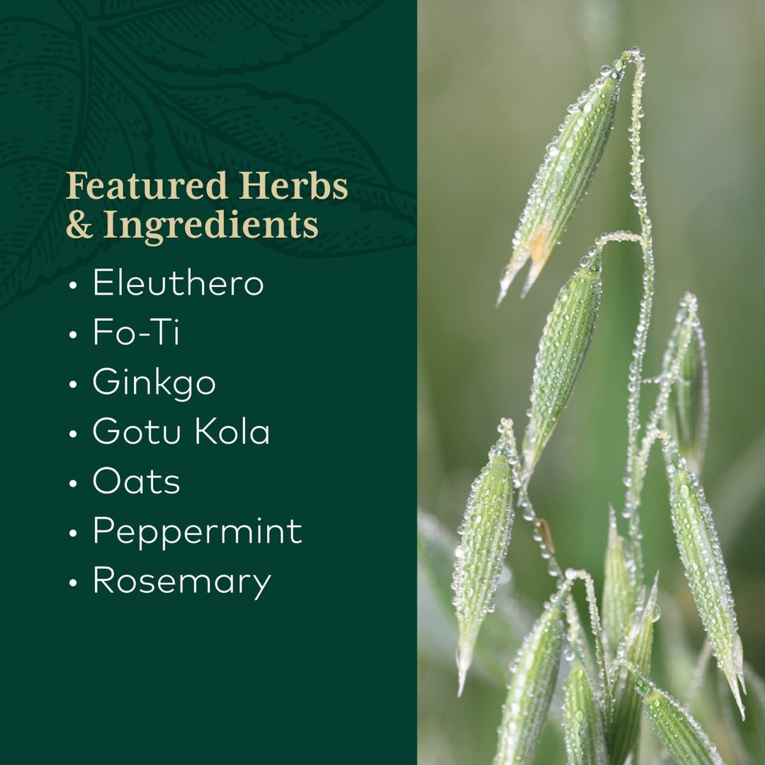 Gaia PRO Cognitive Formula - Brain Boost & Blood Flow Supplement - Provides Antioxidant Activity Support - with Rosemary, Organic Peppermint & Gotu Kola - 60 Vegan Liquid Phyto - Capsules (30 Servings) - The Oasis of Health