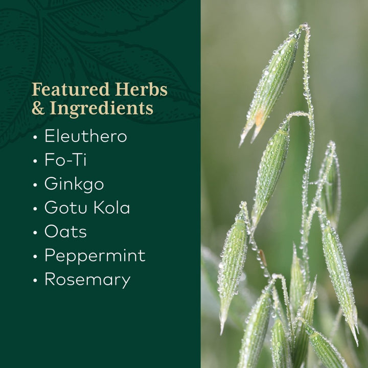 Gaia PRO Cognitive Formula - Brain Boost & Blood Flow Supplement - Provides Antioxidant Activity Support - with Rosemary, Organic Peppermint & Gotu Kola - 60 Vegan Liquid Phyto - Capsules (30 Servings) - The Oasis of Health