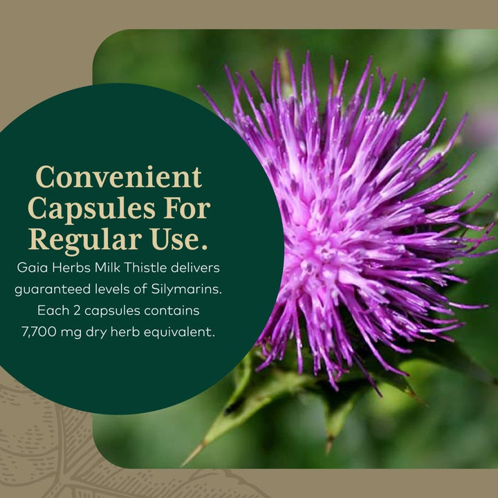 Gaia PRO Daily Liver Pro - The Oasis of Health