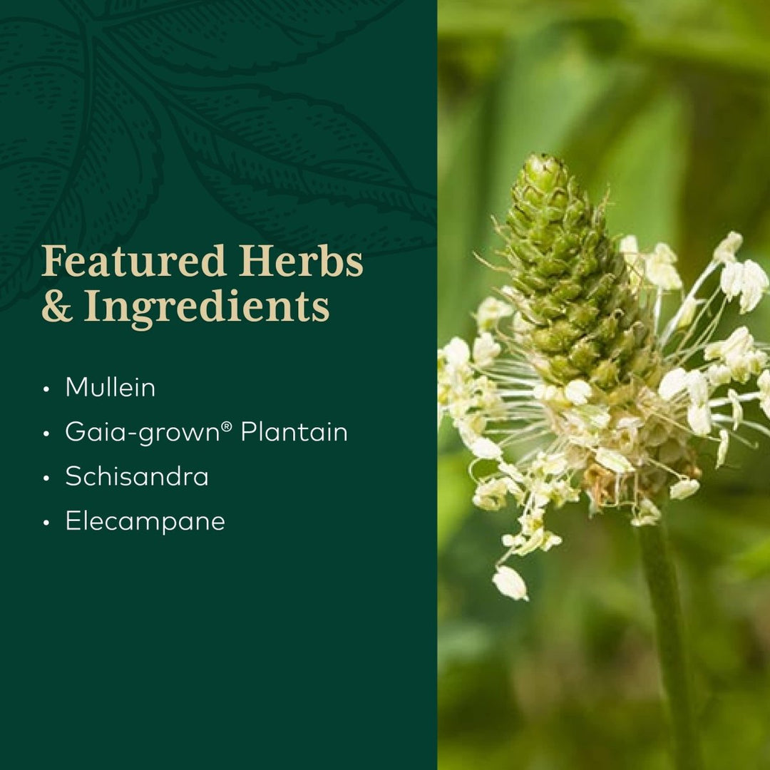 Gaia PRO Daily Lung Formula - The Oasis of Health