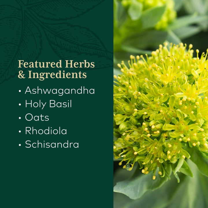 Gaia PRO Daytime HPA - 120 Vegan Liquid Phyto - Capsules (60 Servings) - The Oasis of Health