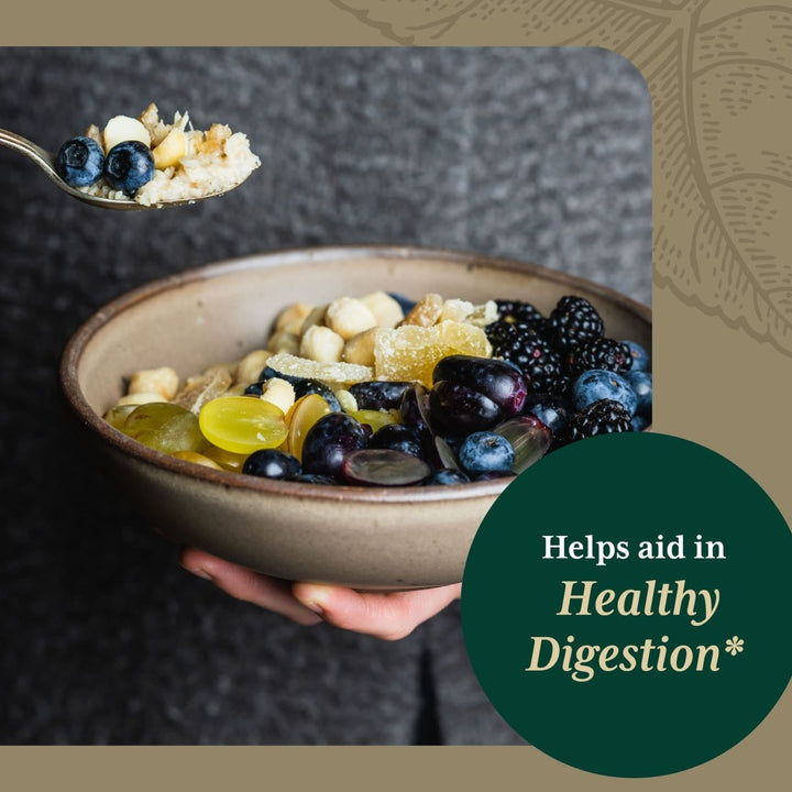 Gaia Pro Digestive Bitters with Turmeric 2oz - The Oasis of Health