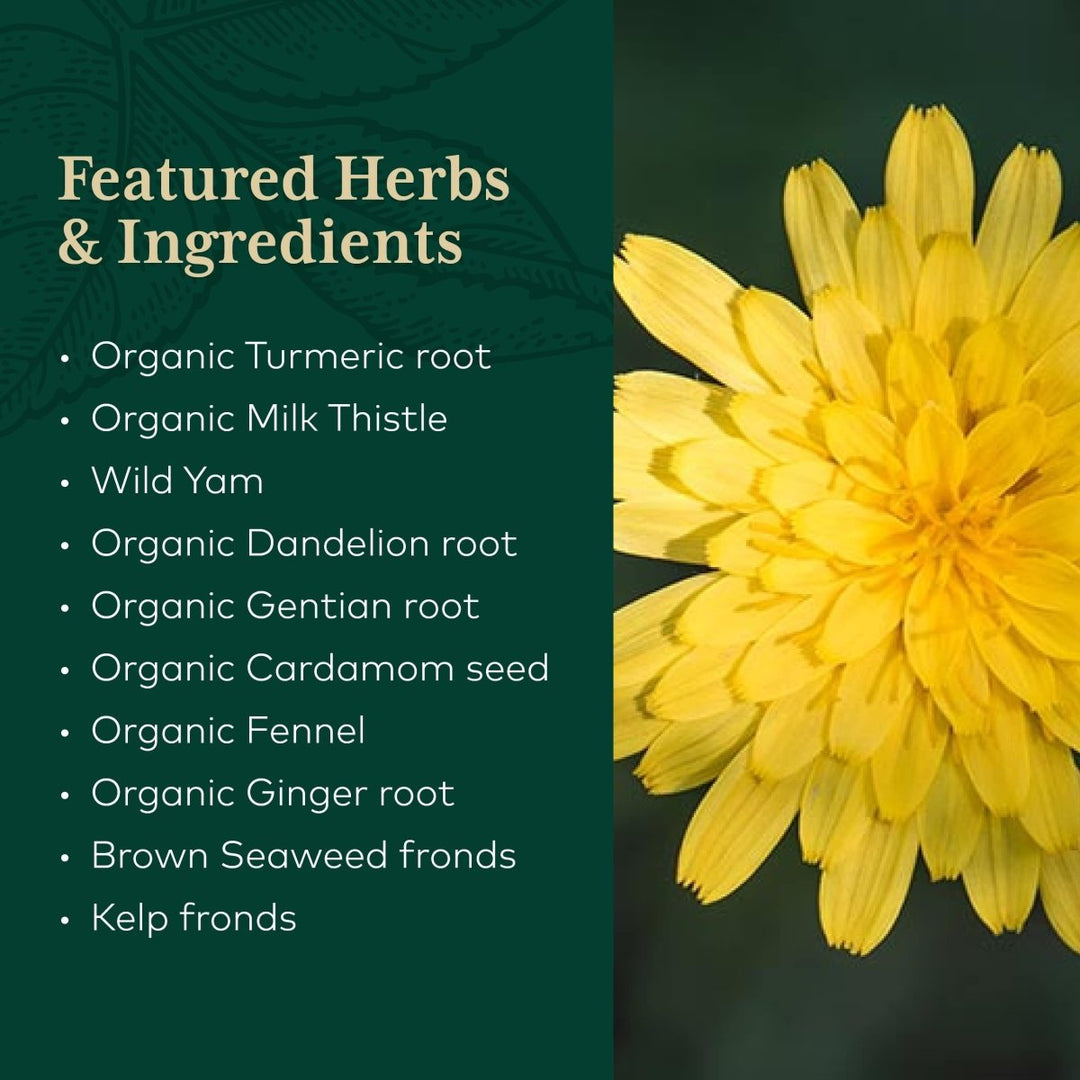 Gaia Pro Digestive Bitters with Turmeric 2oz - The Oasis of Health