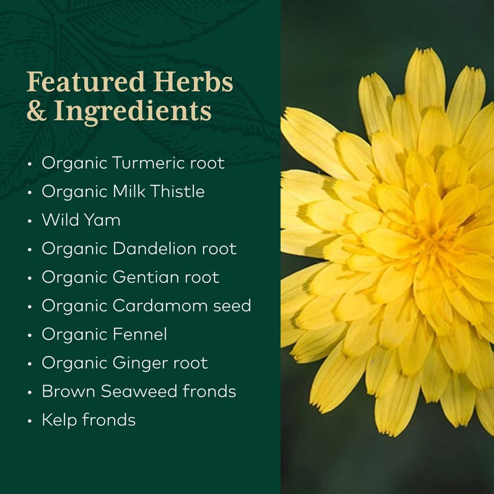 Gaia Pro Digestive Bitters with Turmeric 2oz - The Oasis of Health