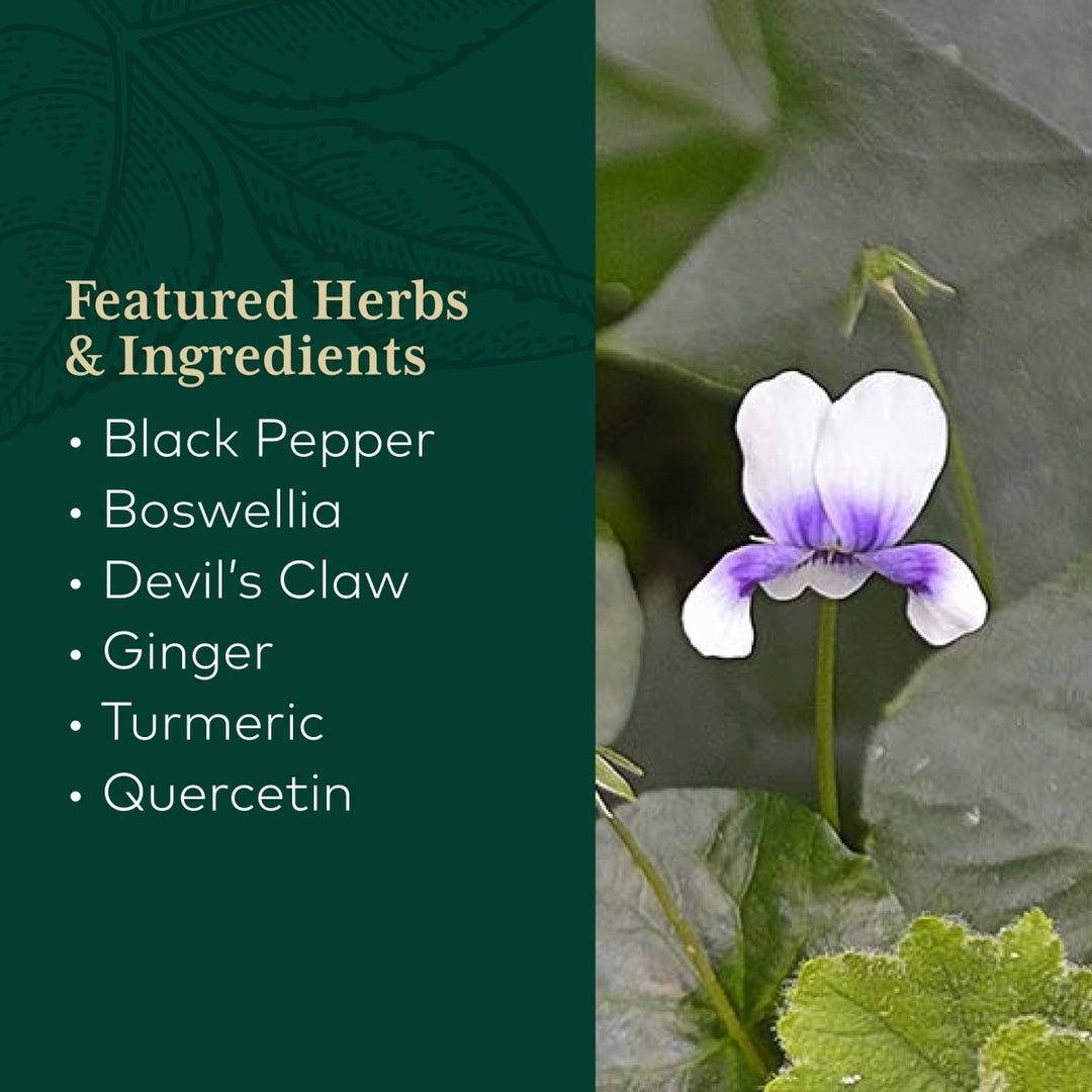 Gaia PRO Discomfort Relief (Turmeric Supreme® Joint) NF - kB Formula - 120 Vegan Liquid Phyto - Capsules (60 Servings) - The Oasis of Health