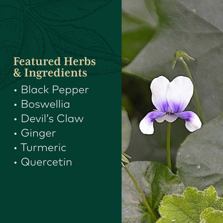 Gaia PRO Discomfort Relief (Turmeric Supreme® Joint) NF - kB Formula - 120 Vegan Liquid Phyto - Capsules (60 Servings) - The Oasis of Health