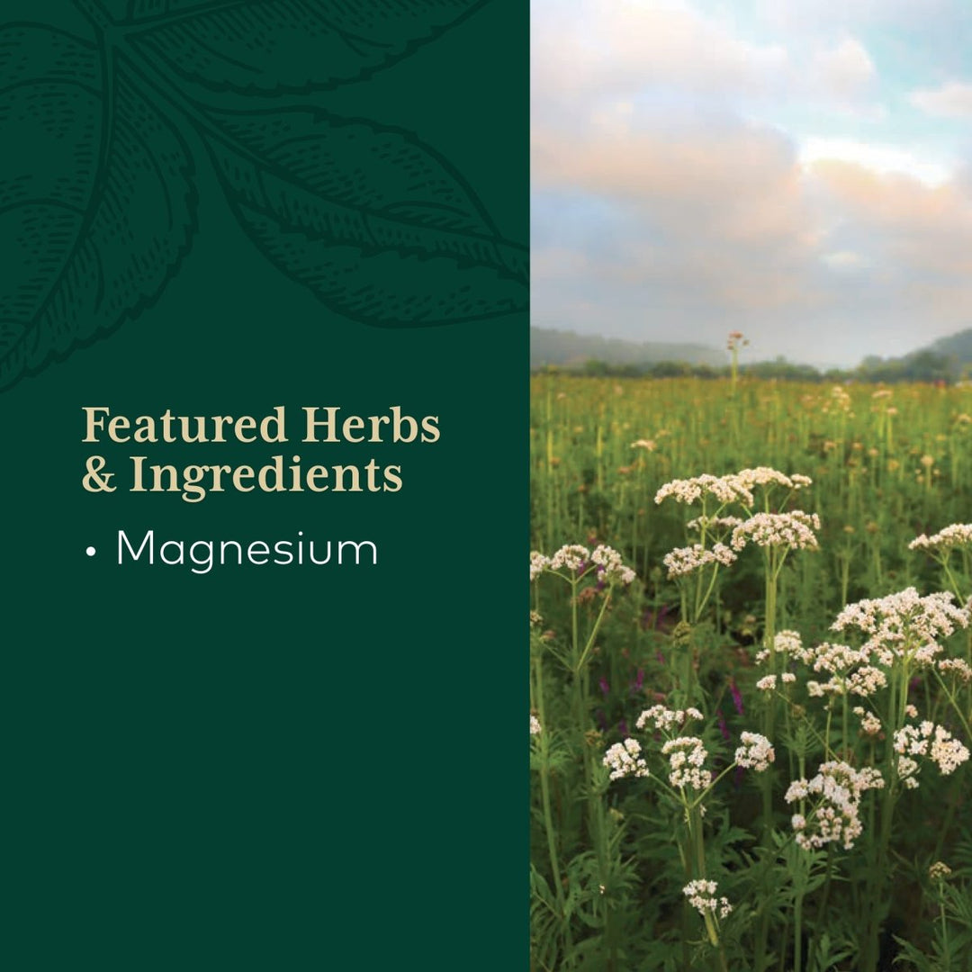 Gaia PRO Magnesium Glycinate 400 - Sleep Support & Stress Relief - Support for Nervousness - with Magnesium - 180 Capsules (60 Servings) - The Oasis of Health