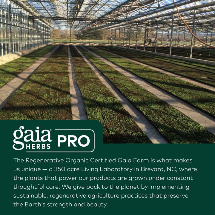 Gaia PRO Marshmallow Root (COG) - The Oasis of Health