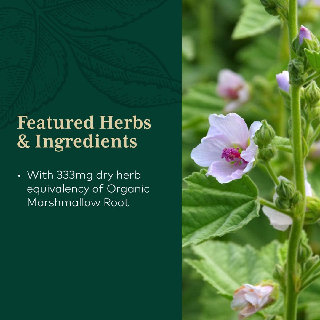 Gaia PRO Marshmallow Root (COG) - The Oasis of Health