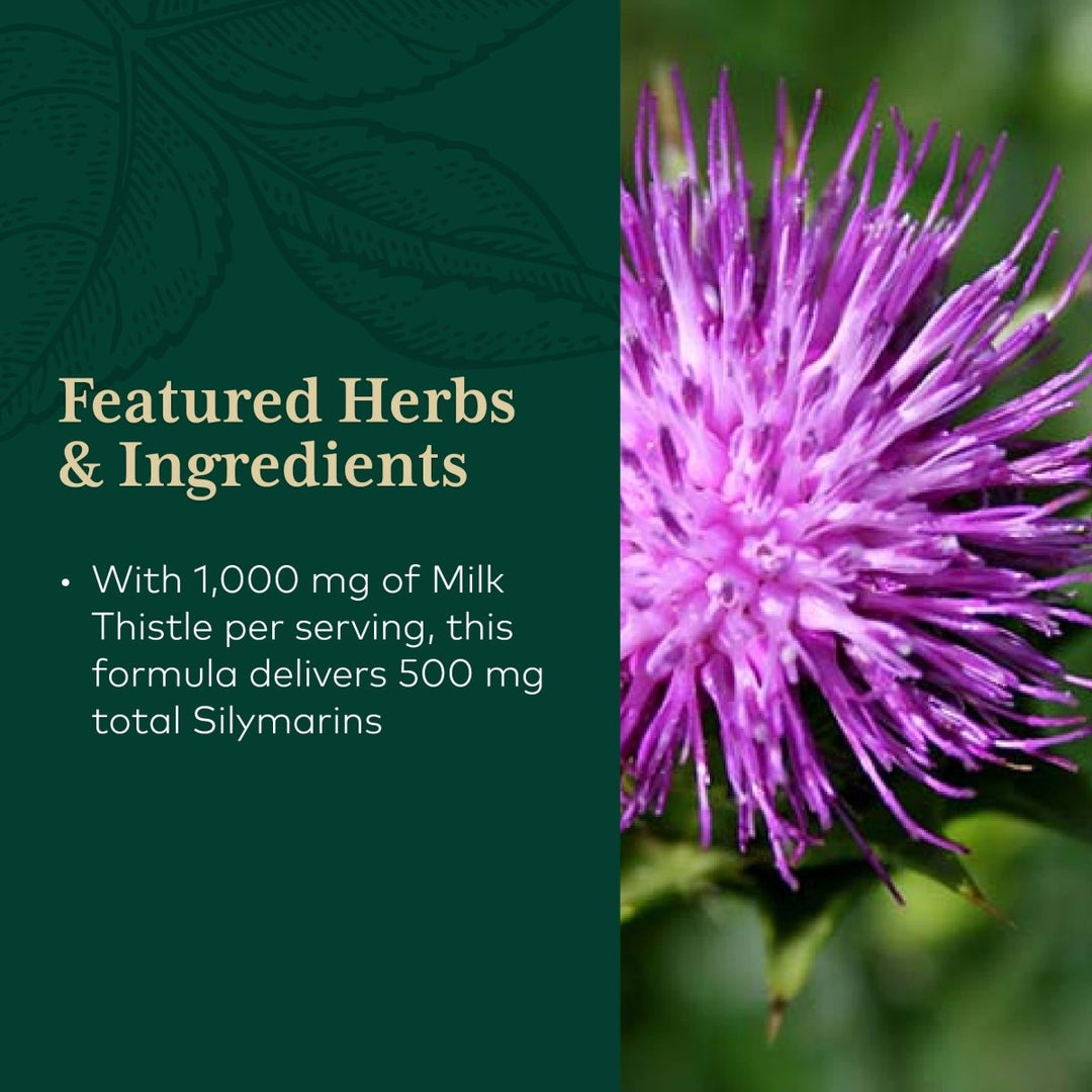 Gaia PRO Milk Thistle 1000 - The Oasis of Health