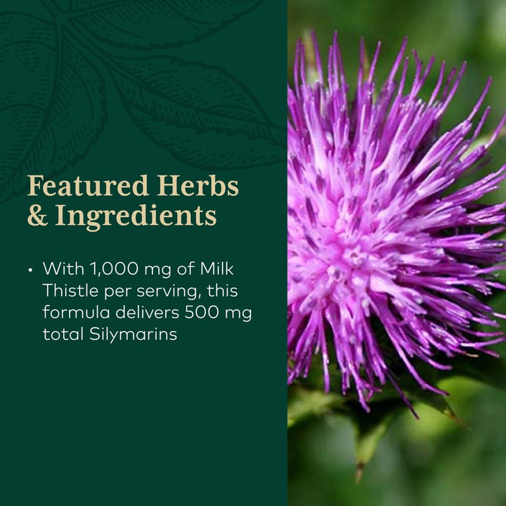 Gaia PRO Milk Thistle 1000 - The Oasis of Health