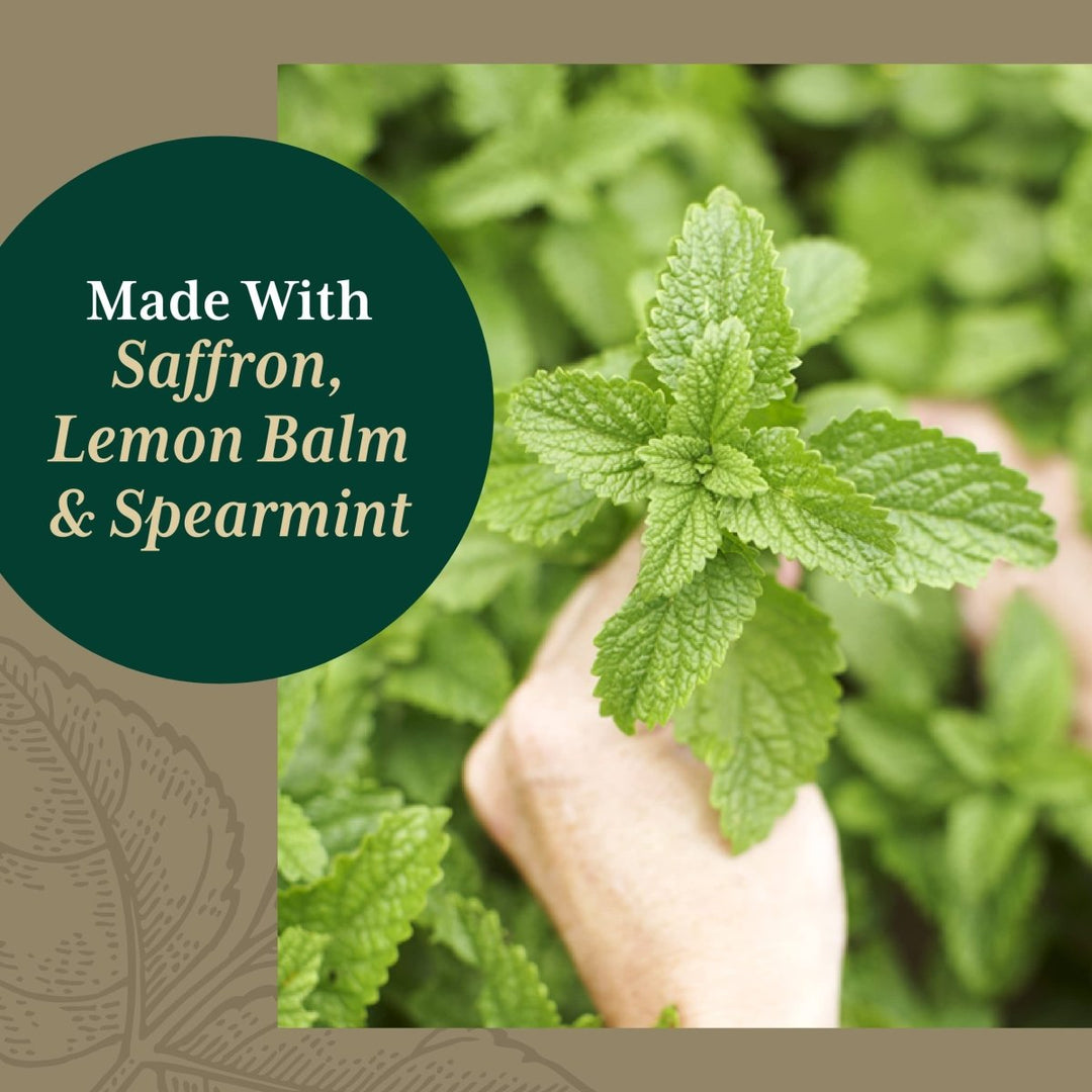 Gaia PRO Nootropic Focus - Supports Healthy Concentration - with Saffron Extract, Ginkgo Biloba, Organic Spearmint Extract & Lemon Balm Extract - 40 Vegan Liquid Phyto - Capsules (20 Servings) - The Oasis of Health