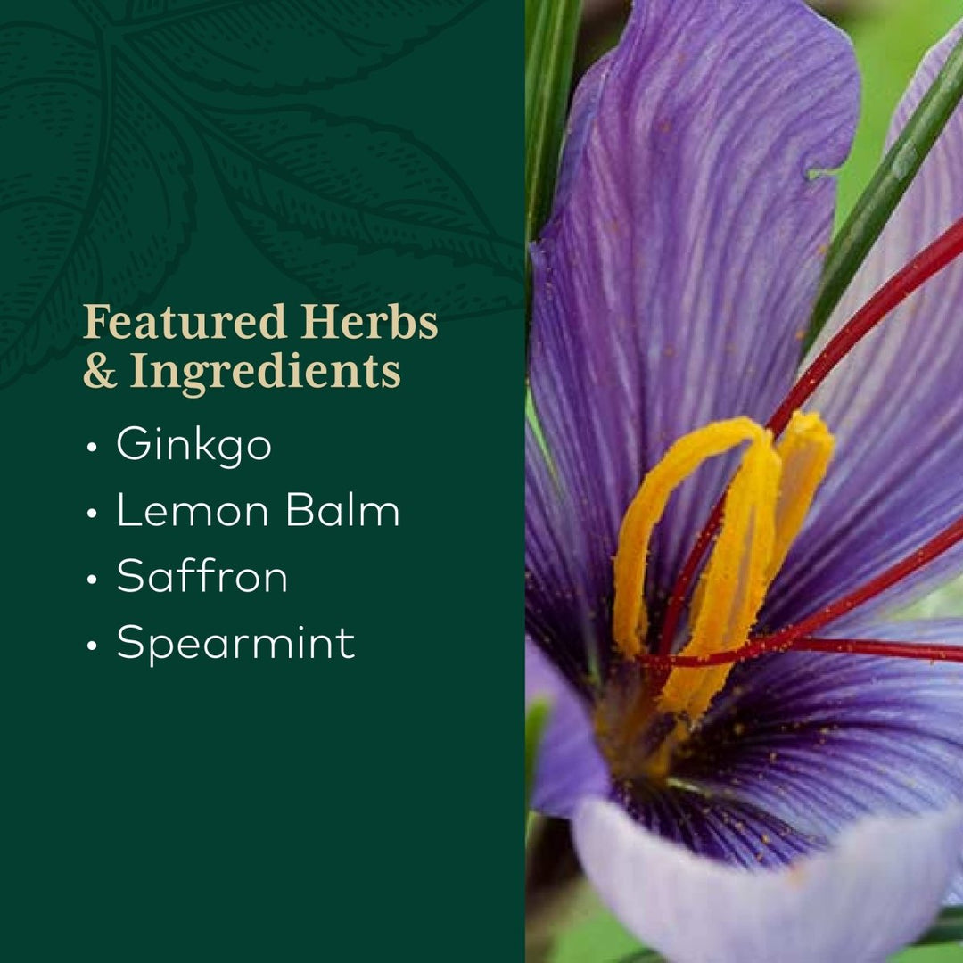 Gaia PRO Nootropic Focus - Supports Healthy Concentration - with Saffron Extract, Ginkgo Biloba, Organic Spearmint Extract & Lemon Balm Extract - 40 Vegan Liquid Phyto - Capsules (20 Servings) - The Oasis of Health