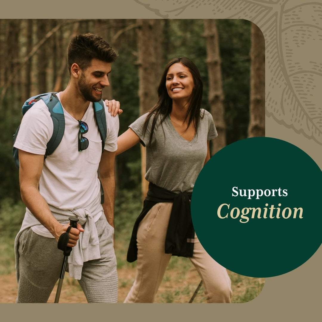 Gaia PRO Nootropic Focus - Supports Healthy Concentration - with Saffron Extract, Ginkgo Biloba, Organic Spearmint Extract & Lemon Balm Extract - 40 Vegan Liquid Phyto - Capsules (20 Servings) - The Oasis of Health