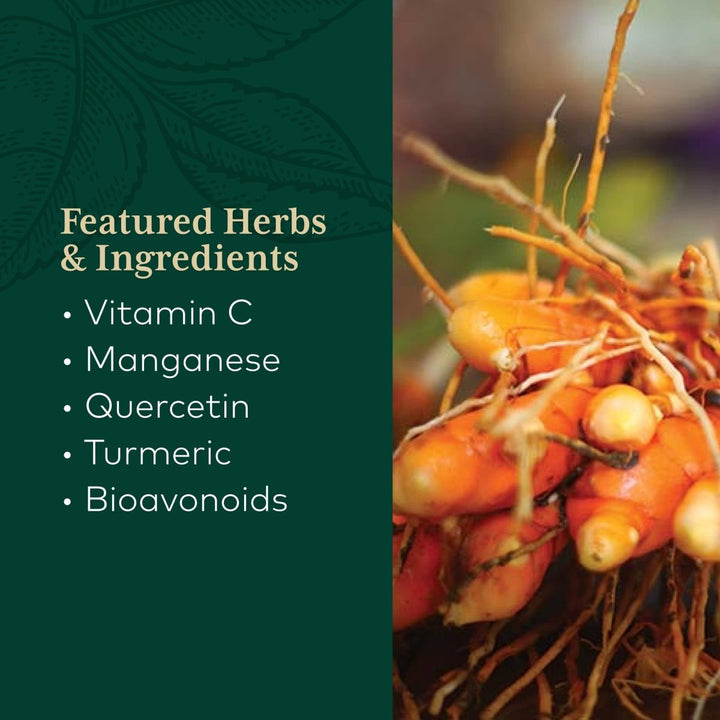 Gaia PRO Quercetin Synergy 500 - 100 Vegan Tablets (100 Servings) - The Oasis of Health