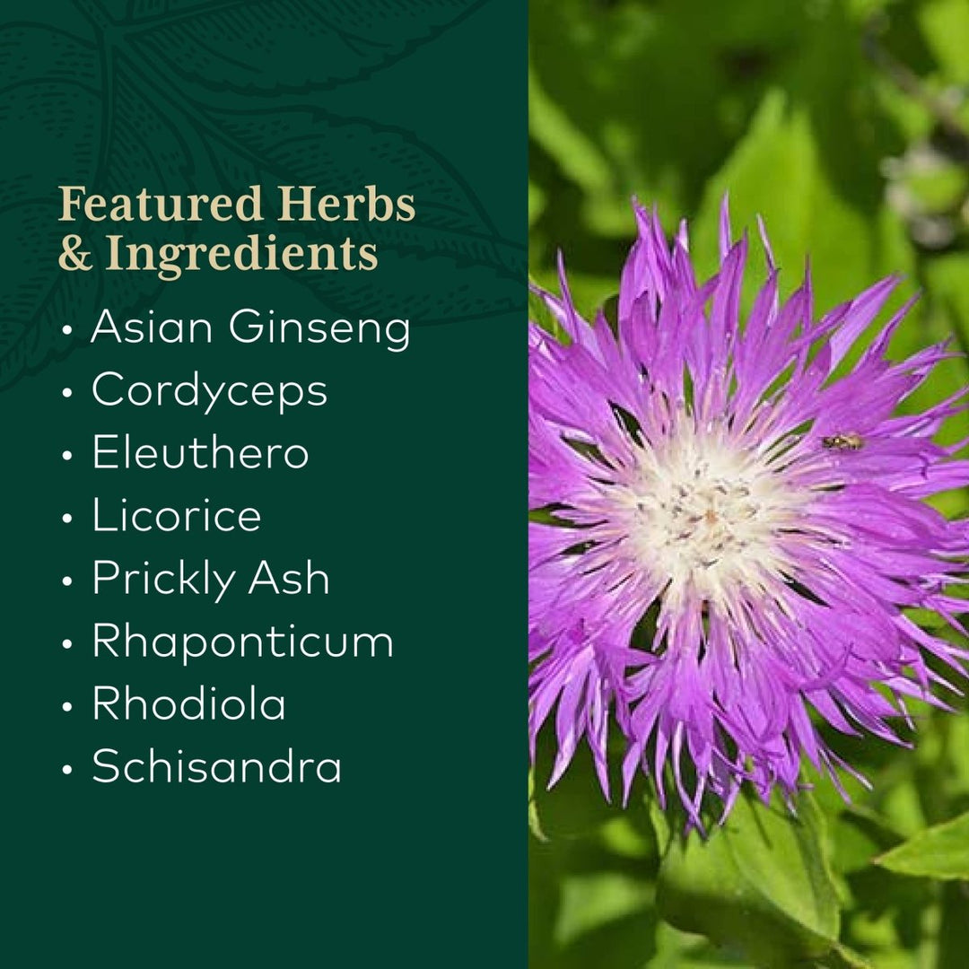 Gaia PRO Revive HPA - 60 Vegan Liquid Phyto - Capsules (30 Servings) - The Oasis of Health