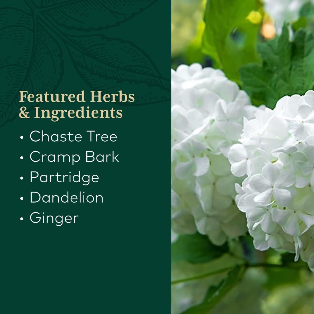 Gaia PRO Vitex Reproductive Formula - Supports Healthy Reproductive Function - with Organic Dandelion Root, Chaste Tree, Ginger Root, Cramp Root & More - 60 Vegan Liquid Phyto - Capsules (30 Servings) - The Oasis of Health