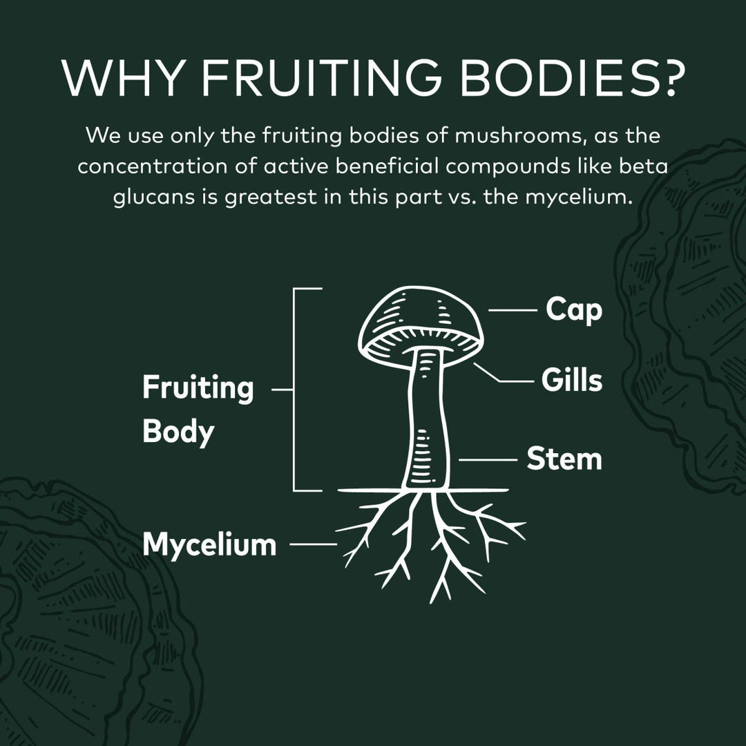 Gaia Reishi Mushroom 40 Vcaps - The Oasis of Health